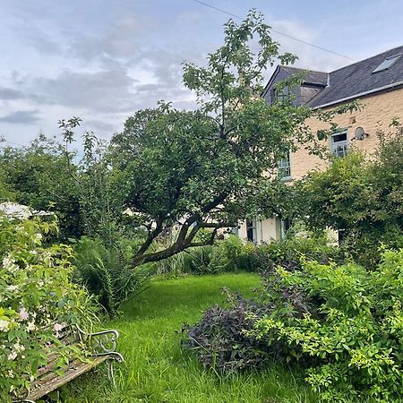 Ynyswen Bed & Breakfast Nantgaredig エクステリア 写真