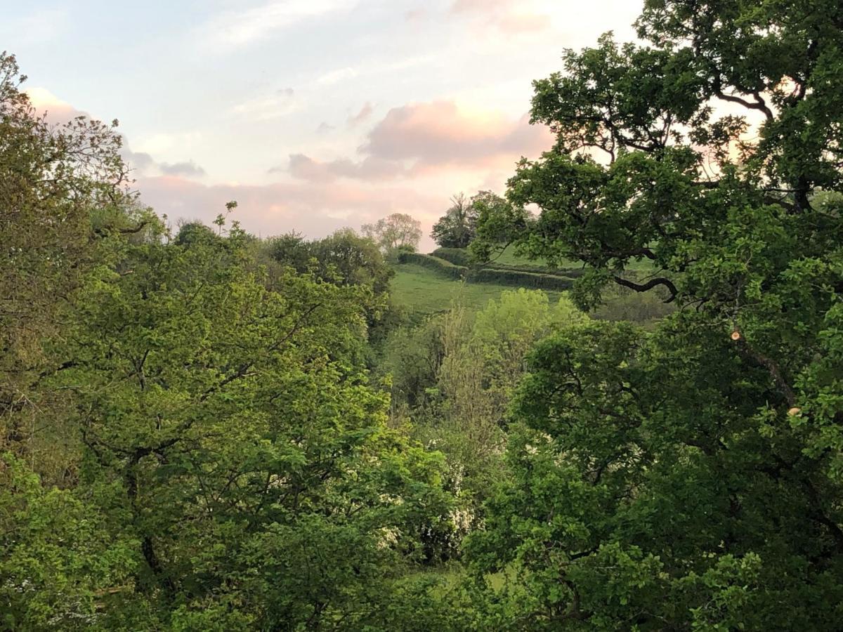 Ynyswen Bed & Breakfast Nantgaredig エクステリア 写真