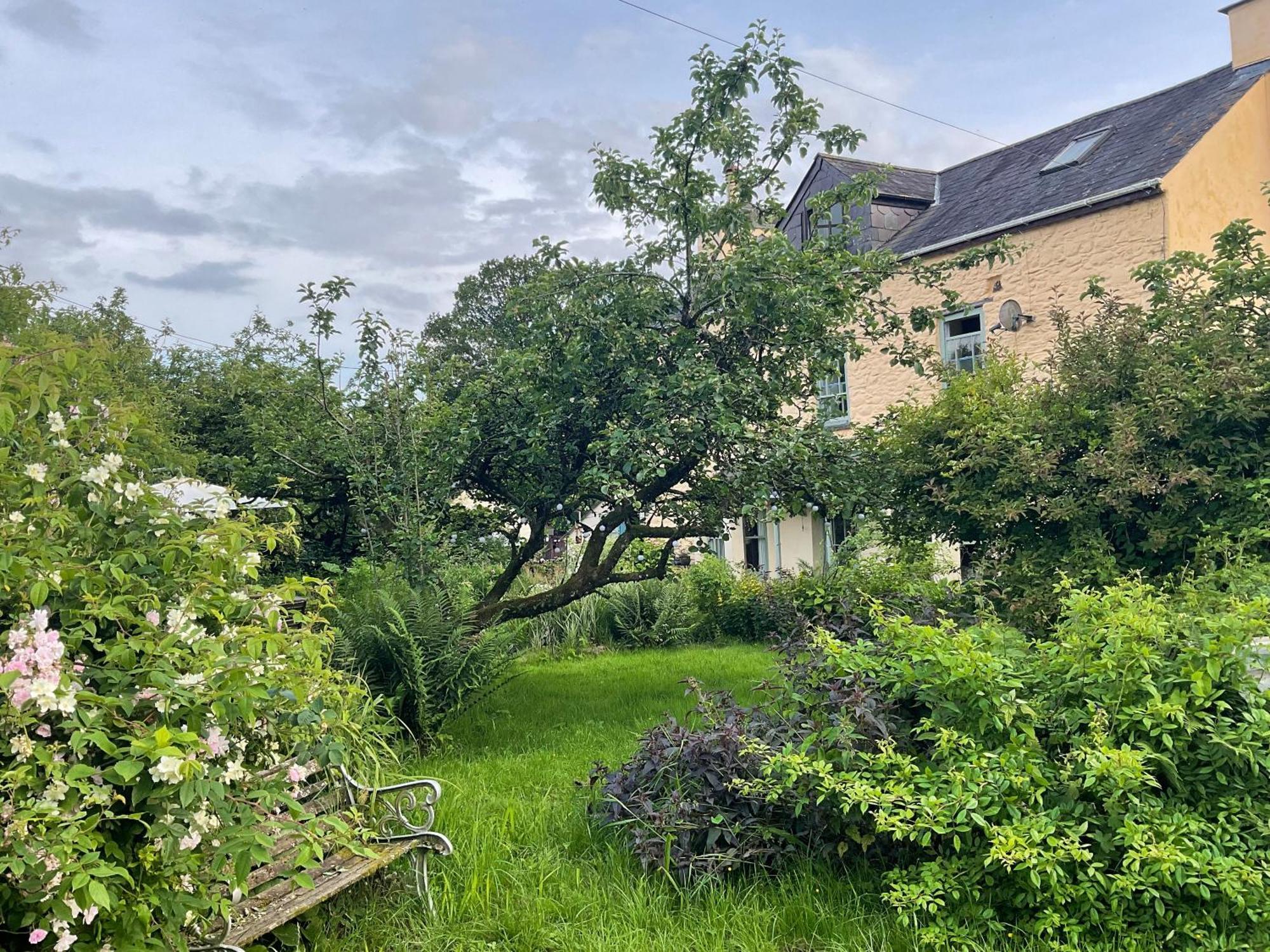 Ynyswen Bed & Breakfast Nantgaredig エクステリア 写真