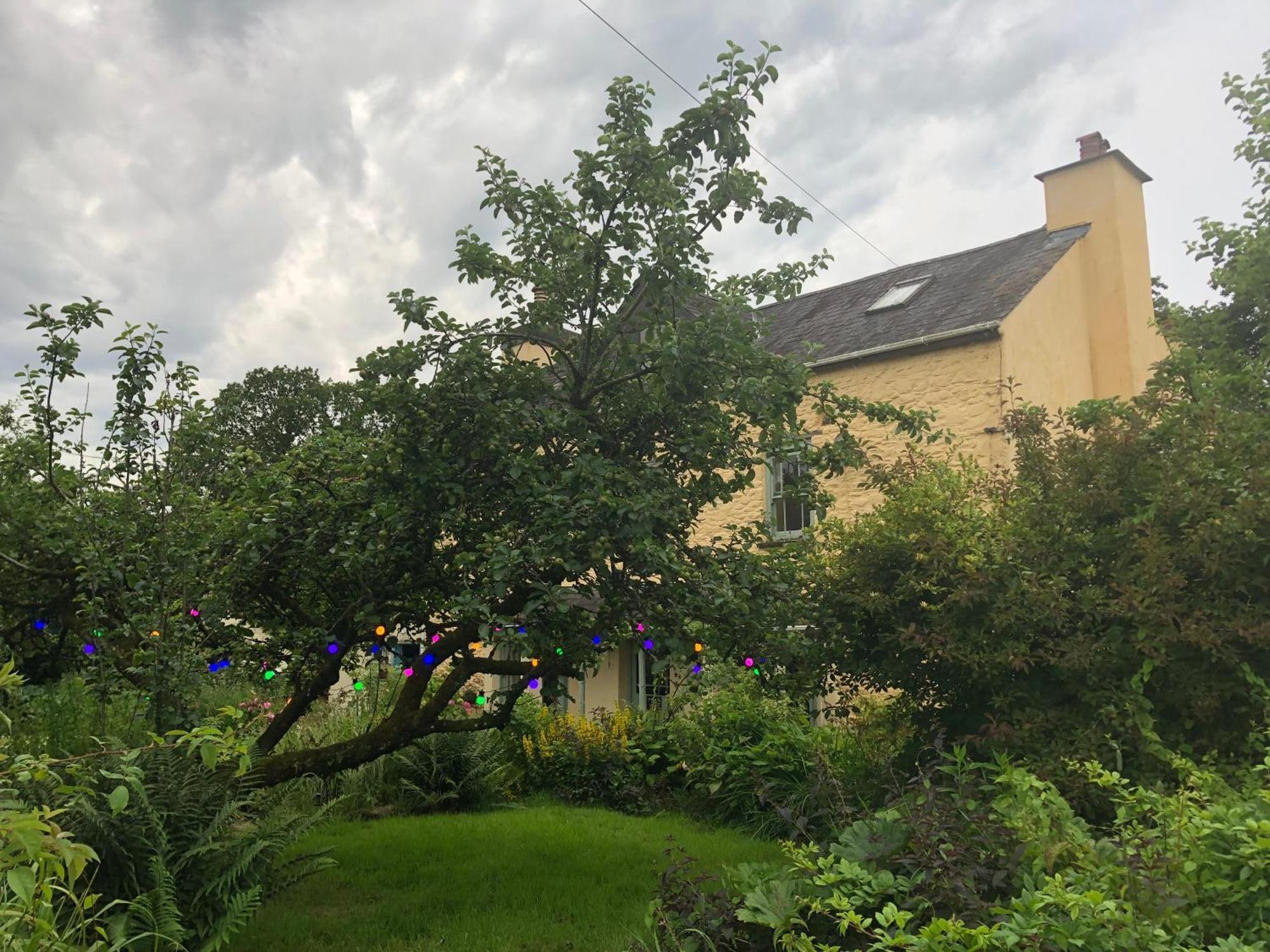 Ynyswen Bed & Breakfast Nantgaredig エクステリア 写真